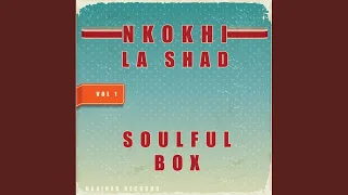 you make my heart smile nkokhi u0026 la shad remix 