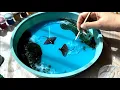 Download Lagu Hoe ik een gloeiende nachtlamp maakte met de zee en dansende stekelroggen!