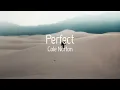 Download Lagu Cole Norton - Perfect (lyrics)