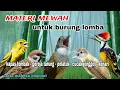 Download Lagu Masteran Murai batu Irama Lagu Sejalur Full Variasi Tembakan MP3