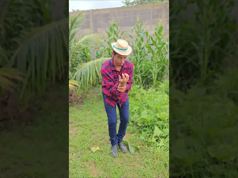 La SERPIENTE VENENOSA 🐍 #shorts #viralvideo