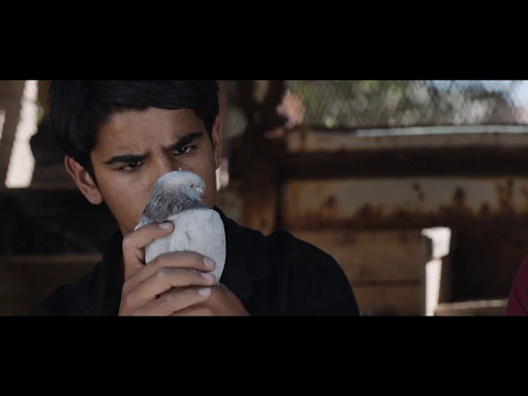 Official Trailer