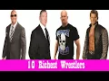 SWWE Top 10 Most Richest Wrestlers In 2017 Vince McMahon Networth Sorel Toril