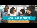 Level 5 Assignment C The TEFL Academy