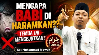 Mengapa Babi di Haramkan? Temuan Peneliti Ini Mengejutkan - Ust Muhammad Ridwan