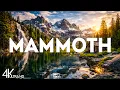 Top 10 Best Things to do in Mammoth Lakes California Mammoth Travel Guide 2026