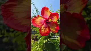 من سالم الناس سلم من شاتم الناس شتم من ظلم 