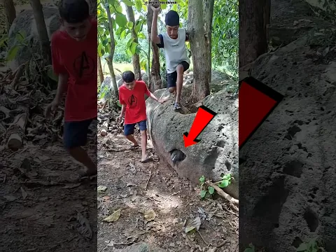 What Was Hidden Under The Hen? 🐣😱