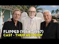 Flipper 1964 1967 Where Are They Now Shocking Transformations After 38 Years