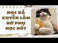 Download Lagu [Truyện Audio ] [FULL] HỌC BÁ XUYÊN LÀM NỮ PHỤ HỌC DỐT || Sora Bé Bỏng