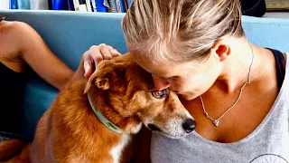 LEAVING JETTY 😥 Going to the Annapolis Sailboat Show