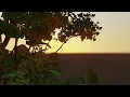 Real-Time Voxel Tree Custom Vulkan Ray Tracing Engine