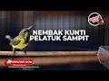 Download Lagu 🔴Masteran Terapi Sogon Gacor Full Isian Tembakan Kunti \u0026 Pelatuk Sampit