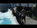 Lily White - WaveKilla by SBN presented by URBNSURF - Wednesday January 10th