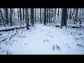 Randy Ray - Tracking You Down (Audio)