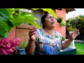 Download Lagu MARTINA FUENTES Coros