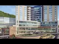Roanoke City Council approves road closures amid Carilion s expansion