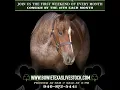 Bowie TX Horse Sale Live Stream