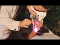 Download Lagu ASMR School Nurse LICE Check on Scalp and Neck | Removal with Tweezers