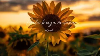 sal priadi gala bunga matahari iycris video 