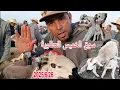 Download Lagu مباشره من سوق الخميس العطاوية باقليم قلعة السراغنة بتاريخ 2025/6/26 مع أتمنة خروف وخروفة وحولي 🐏🐑🇲🇦