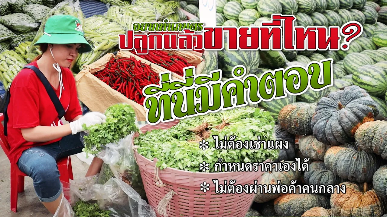 วิธีนำผลผลิตทางการเกษตรไปขายที่ตลาดสี่มุมเมือง ไม่ยากอยางที่คิด  #เกษตรอารมณ์ดี