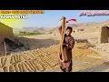 Download Lagu Afghanistan dried figs new season 2025 | دافغانستان مشهوره میوه انځر