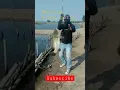 Download Lagu mancing kakap putih muara gembong#shorts