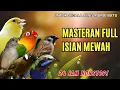 Download Lagu MASTERAN MURAI BATU BESETAN KASAR TEMBAK PANJANG ❗ 100% AUTO GACOR