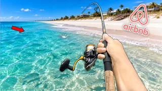 I Rented an Airbnb to Fish a Private Beach.. (Catch and Cook)