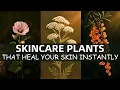 20 Forgotten Skincare Plants That Heal Your Skin Instantly