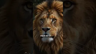 ١٦ يوليو ٢٠٢٥ 