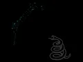 Wherever I May Roam (Radio Edit)