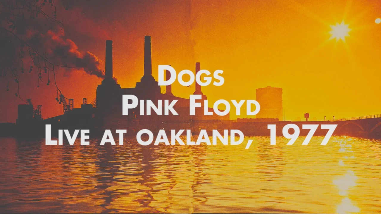 Pink Floyd - Dogs - Live at Oakland