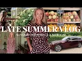 Download Lagu Resetting After Our Summer Holiday // Flower Arranging, Kitchen Garden Harvests \u0026 New Car Reveal