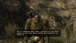 Fallout New Vegas - Crazy Crazy Crazy