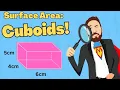 Surface Area Of Cuboids Year 7 Maths Lesson UK