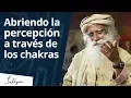 Download Abriendo la percepción a través de los chakras | Sadhguru mp4 3gp mp3 videos - waplic
