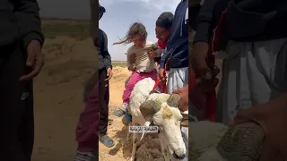 موسم الجز الزاز الجنوب التونسي اهازيج الجز 