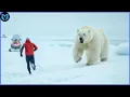Download Lagu Wanneer ijsberen tekeergaan, vastgelegd op camera!