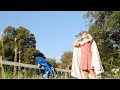 Download Lagu Alia - Trailer