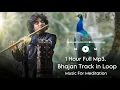 Lagu Shri Krishna Govind/Achutam Keshavam/Kaun Kehete Hai Bhagwan/Nonstop Flute Bhajan 1Hour Loop Flute 