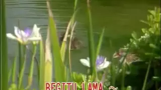 poppy mercury cinta kita yang tertunda