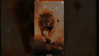 ٢٨ أكتوبر ٢٠٢٥ 