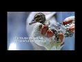 Dawn Lean On Me Commercial Extended