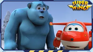 Superwings | Best | Meet the Legendary Creatures! | Best Episode Collection