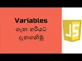 How to use variables in JavaScript Web Development learn javascript js tutorial Sinhala