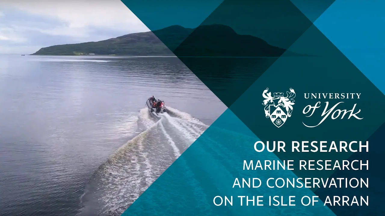 The science of seabed recovery off the Isle of Arran