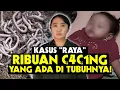 Download Lagu REUPLOAD -  BELAJAR BANYAK TENTANG... C4C1NGAN❗️