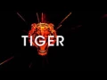 R3hab vs Skytech & Fafaq - Tiger (Official Audio)